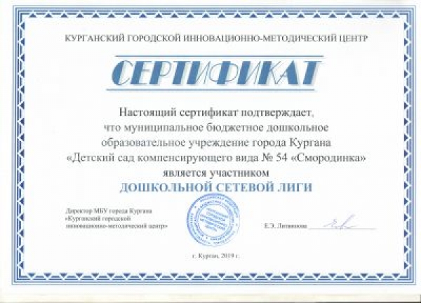 ДСЛ 2020 - 2021 учебный год